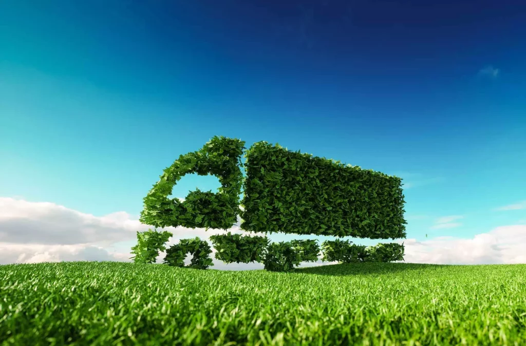From eco-friendly packing materials to fuel-efficient transportation, Green Movers prioritizes sustainability.